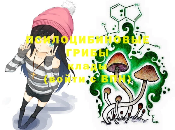 герыч Алексин