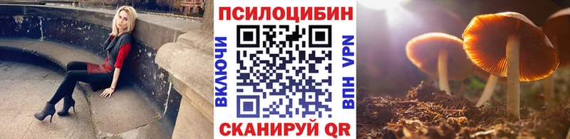 Псилоцибиновые грибы мухоморы  купить наркотик  Дорогобуж 