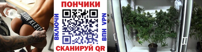 OMG   Дорогобуж  Канабис LSD WEED 